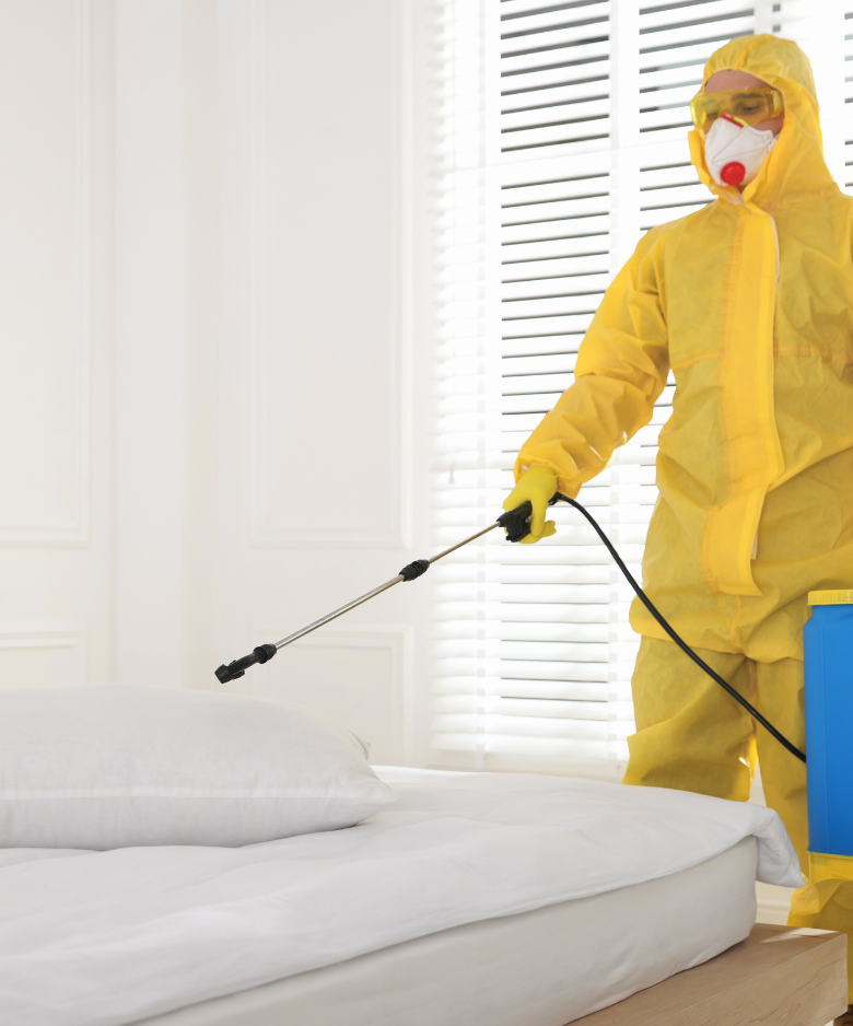 Professional Pest Control Team in Linden Park